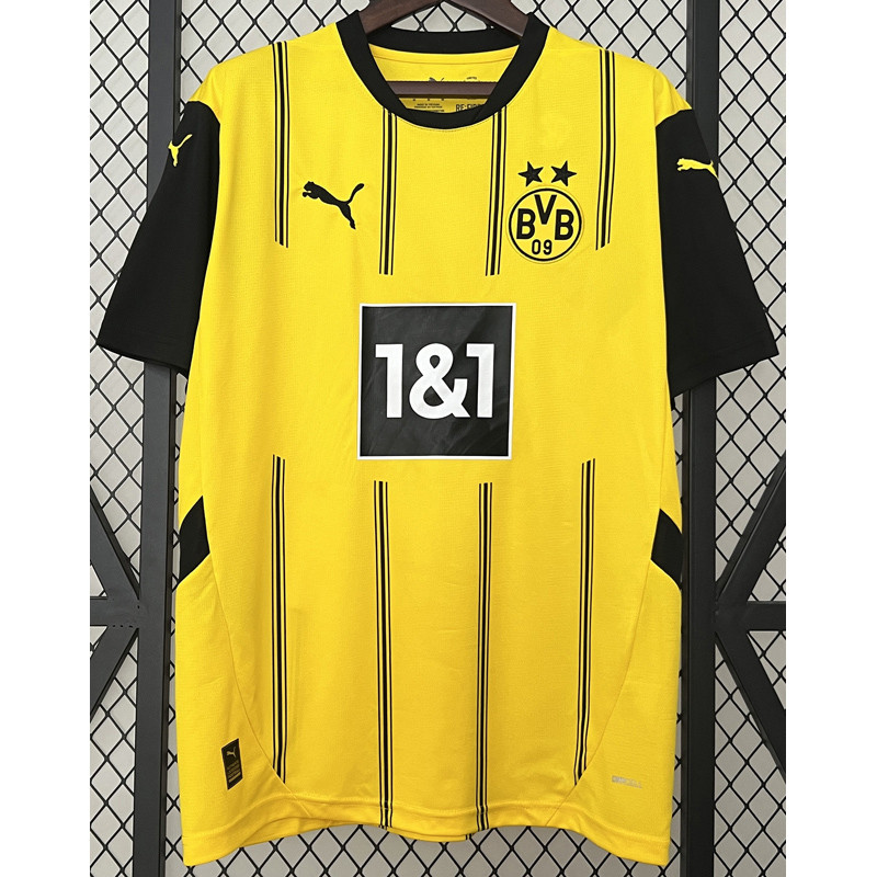 Heimtrikot 2024/2025