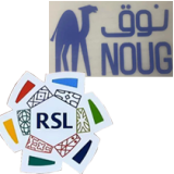 24-25 AL-Nassr Home Fans Soccer Jersey