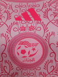 24-25 Algeria Pink Special Edition Player Version Training shirts #A34