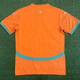 24-25 Ivory Coast Home Fans Soccer Jersey