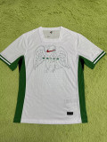 24-25 Nigeria Home Player Version Soccer Jersey