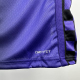 23-24 Kings DEROZAN #10 Purple Top Quality Hot Pressing NBA Jersey (Trapeze Edition)飞人版