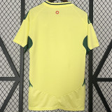 24-25 Wales Away Fans Soccer Jersey