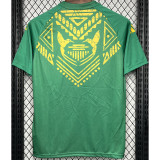 24-25 JAMAICA Green Training shirts