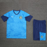 24-25 Palmeiras Lake blue Training Short Suit