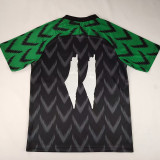 24-25 Palestina FC Black Green Fans Soccer Jersey