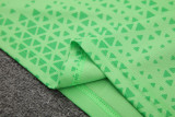 24-25 Palmeiras Light green Training Short Suit