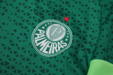 24-25 Palmeiras Green Training Short Suit