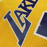 1999 LAKERS RODMAN #73 Yellow Retro Top Quality Hot Pressing NBA Jersey(圆领)