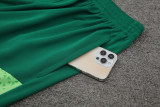 24-25 Palmeiras Green Training Short Suit