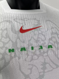 24-25 Nigeria Home Player Version Soccer Jersey