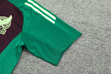 24-25 Mexico Maroon Training Short Suit