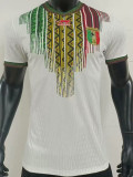 24-25 Mali Home Player Version Soccer Jersey