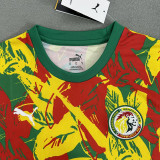 24-25 Senegal Red Yellow Green Fans Training shirts