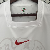 24-25 Nigeria Home Fans Soccer Jersey