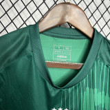 24-25 Italy Green Training shirts