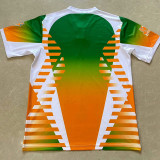 24-25 Venezia Green Yellow Special Edition Training shirts