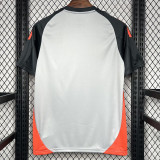 24-25 Benfica Grey Training Shirts