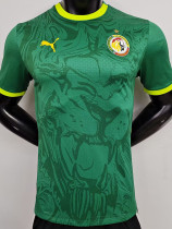 24-25 Senegal Away Player Version Soccer Jersey