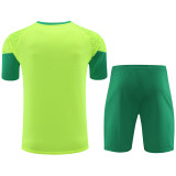 24-25 Palmeiras Fluorescent green Training Short Suit