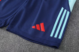 24-25 Flamengo Royal blue Training Short Suit