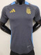 24-25 Argentina Grey Player Version Training shirts
