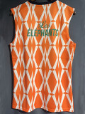 23-24 Ivory coast Orange Vest