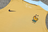 24-25 France Yellow Tank top and shorts suit