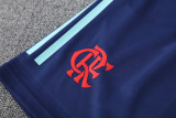 24-25 Flamengo Light green Training Short Suit