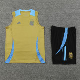 24-25 Argentina Earthy Gold Tank top and shorts suit