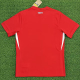 24-25 Turkey Away Fans Soccer Jersey