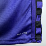 23-24 Kings LAVINE #8 Purple Top Quality Hot Pressing NBA Jersey (Trapeze Edition)飞人版