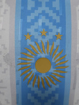 24-25 Argentina Comma Blue Special Edition Player Version Soccer Jersey