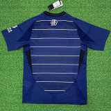 24-25 Aston Villa Third Fans Soccer Jersey