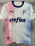 23-24 Palmeiras White Pink Blue Special Edition Training shirts