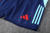 24-25 Flamengo Royal blue Tank top and shorts suit *背心套装
