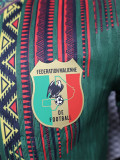 24-25 Mali Away Player Version Soccer Jersey