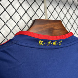 2010 Spain Away Royal Blue Retro Soccer Jersey(带胸前决赛字)
