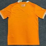 22-23 Ivory coast Home Fans Soccer Jersey (带二星)