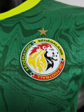 24-25 Senegal Away Player Version Soccer Jersey