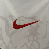 24-25 Nigeria Home Fans Soccer Jersey