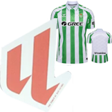 24-25 Real Betis Home Fans Soccer Jersey *新广告