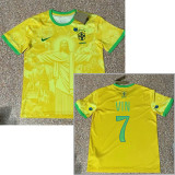 24-25 Brazil Special Edition Training Soccer Jersey *城市版