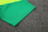 24-25 Palmeiras Fluorescent green Training Short Suit