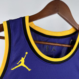 22-23 LAKERS JAMES JR. #9 Purple Top Quality Hot Pressing NBA Jersey (Trapeze Edition) 飞人版