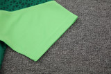 24-25 Palmeiras Green Training Short Suit