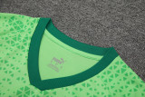24-25 Palmeiras Light green Training Short Suit
