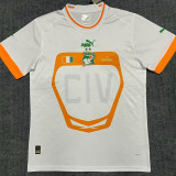 22-23 Ivory coast Away Fans Soccer Jersey (带二星)