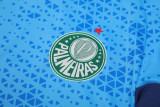 24-25 Palmeiras Lake blue Training Short Suit