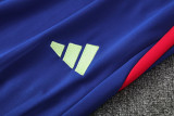 25-26 Spain Fancy blue Polo Tracksuit